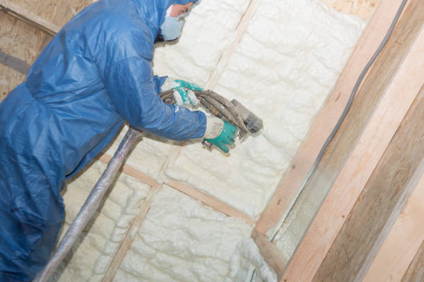 Types of Insulation We Offer in Sanger, CA